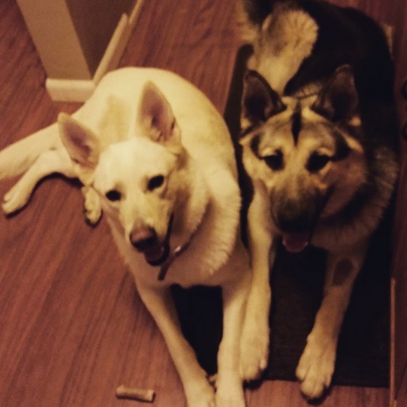 Meet your Posher, Kjo - Picture 1 of 1